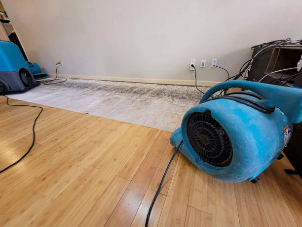Professional Water Removal technician working in Keansburg, NJ